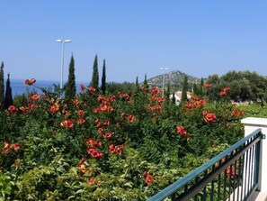 Villa | Utsikt mot trädgården