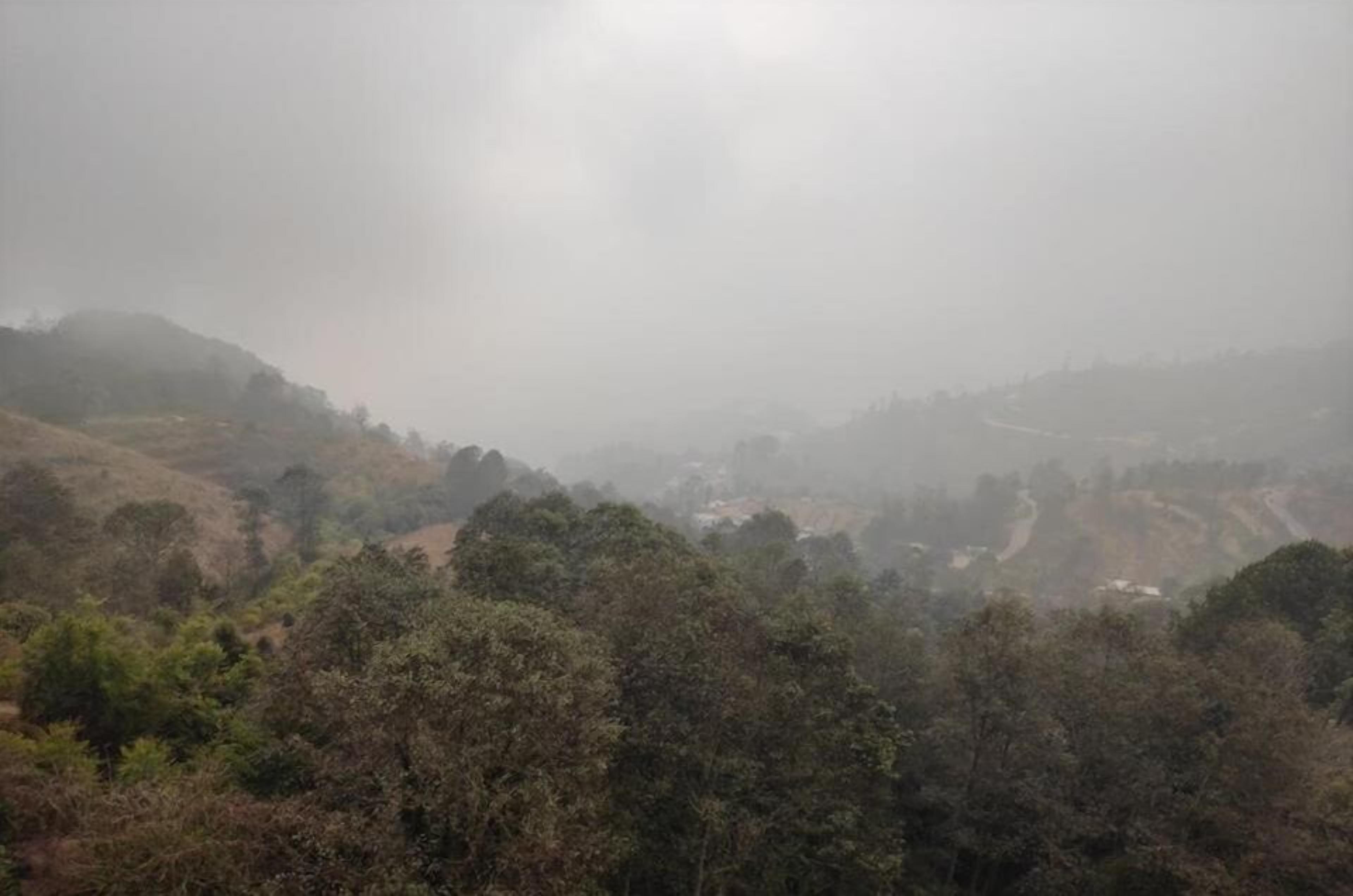 Paisaje brumoso con colinas onduladas y vegetación densa.