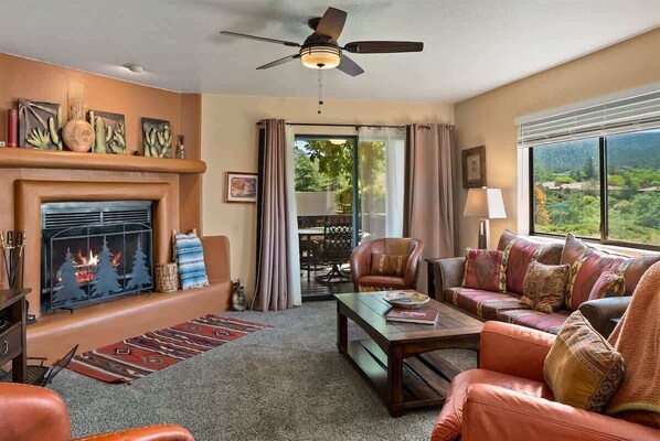 TV, fireplace, DVD player