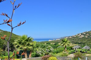 View from property - Studio 2 persons, swimming pool, sea view (Tizzano)