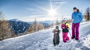 A snowy mountain landscape with a clear sky. - Ferienhaus Fanningberg (Weisspriach)