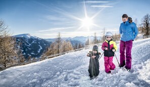 Snow and ski sports - Ferienhaus Fanningberg (Weisspriach)
