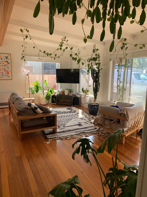 Smart TV, Netflix, books, streaming services