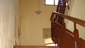 Un escalier recouvert de carreaux bruns et doté d’une main courante en bois.