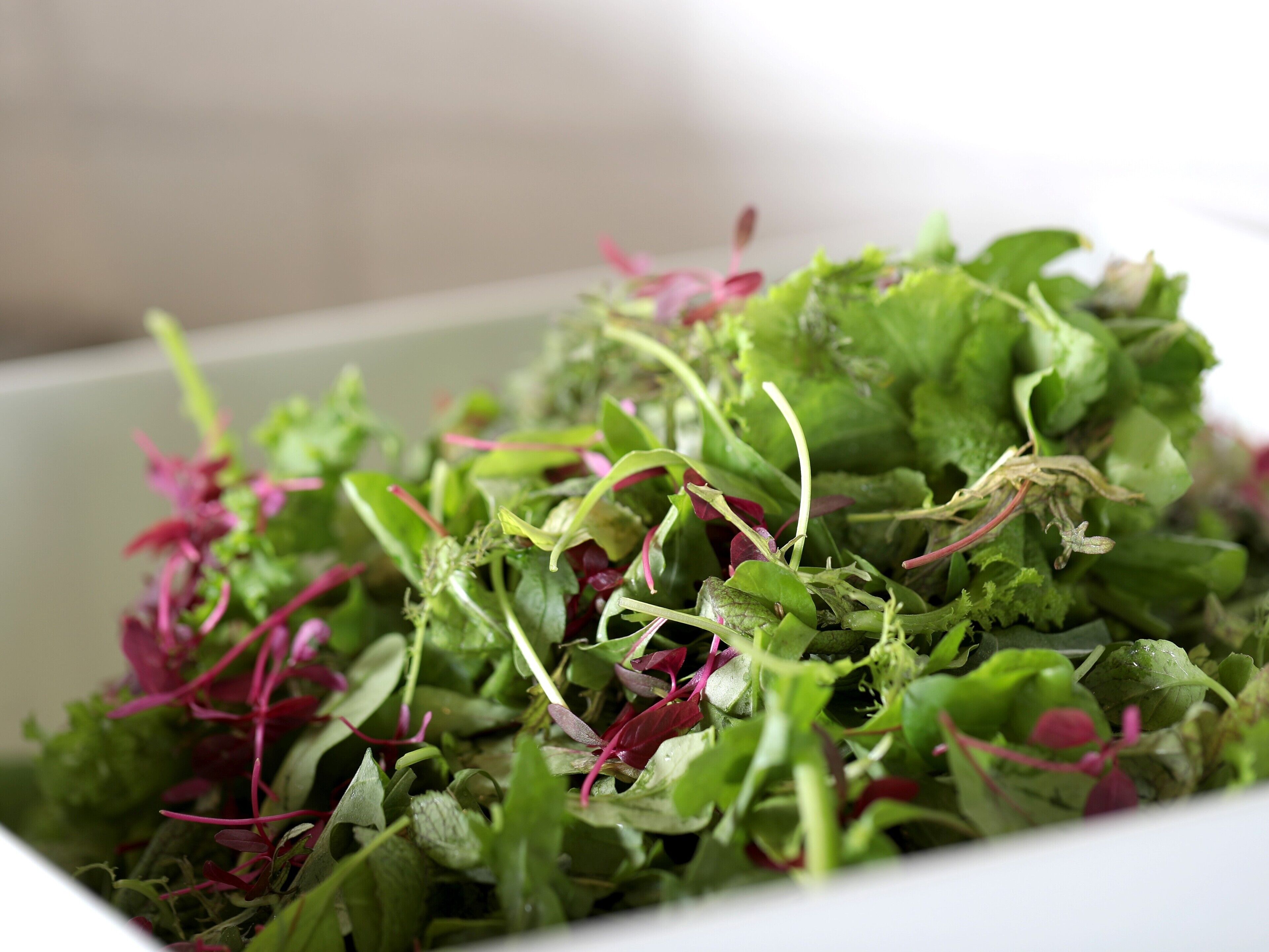 A close-up of mixed green and red leafy vegetables.