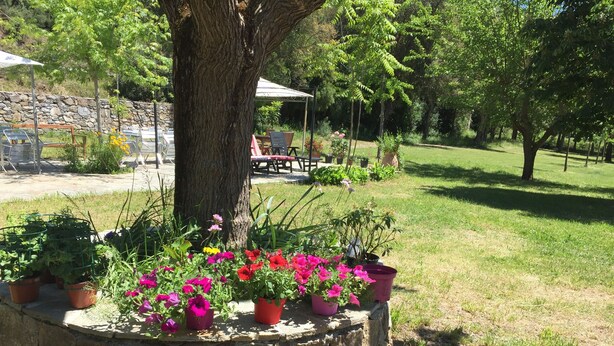 Un bac à fleurs en pierre contenant diverses plantes et fleurs en pot.