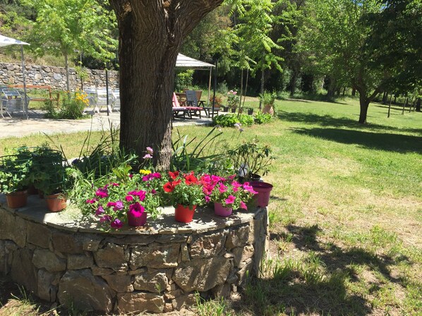 Garden - Camping Ernella (Giuncaggio)
