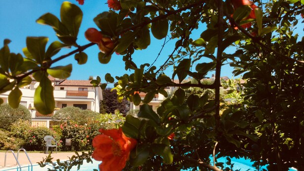 A pool surrounded by lush greenery and a building with a tiled roof in the background. - Kibilù - Residenza del Parco Abete (Brebbia)