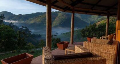 Gorilla Valley Lodge