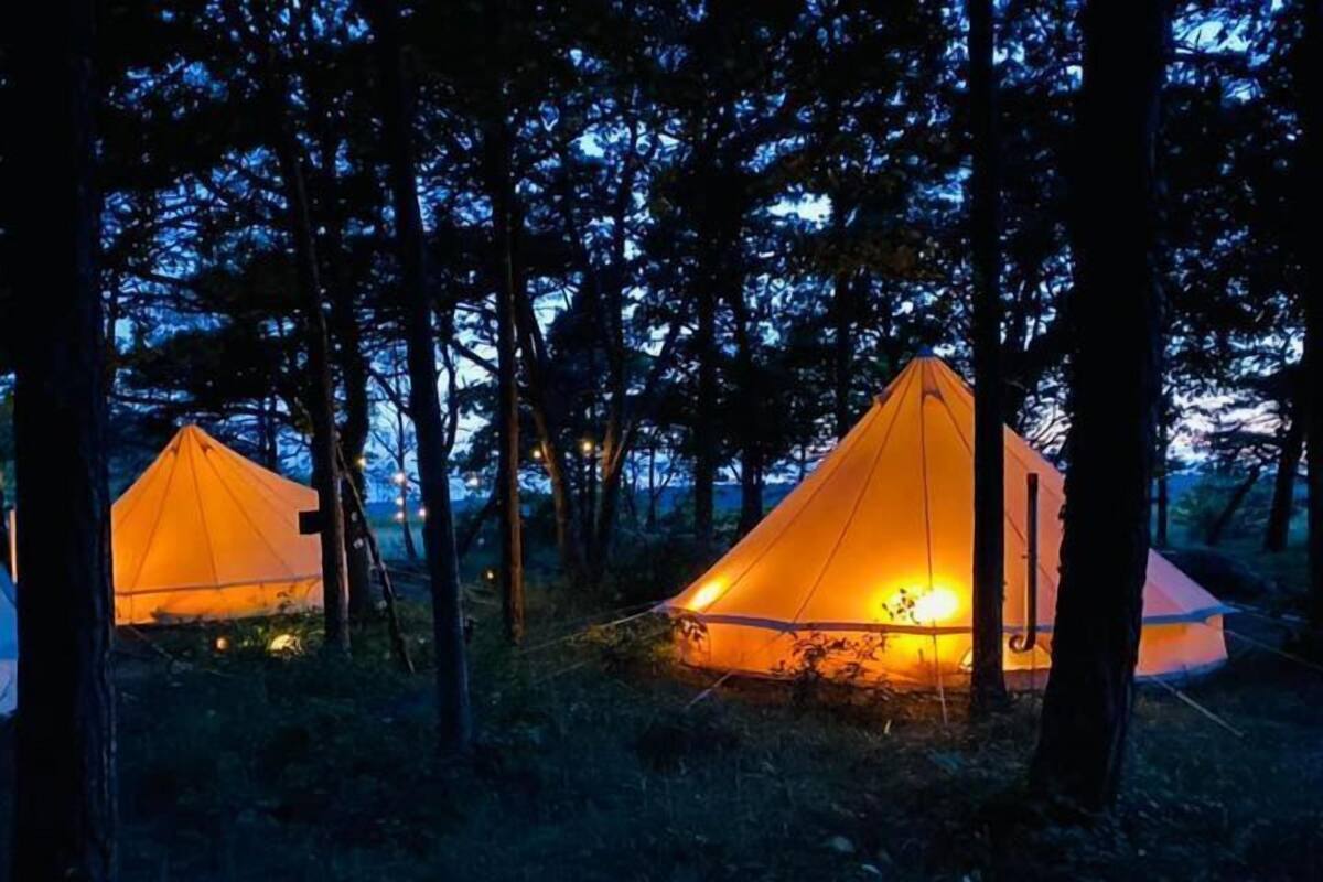 Zwei Zelte in einem Wald im Abenddämmerung.