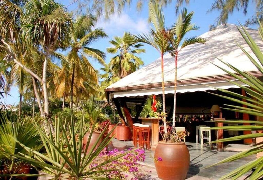 Un espace extérieur abrité, aménagé avec des tables et des chaises, et entouré de plantes en pot et de palmiers.