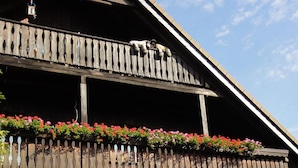 A two-story building with a wooden balcony, potted plants, and outdoor seating. - Ferienwohnung Romance (Ebersbach)