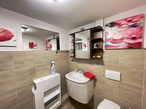 Séchoir à cheveux, serviettes fournies, shampooing