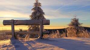 A snow-covered bench with a frosted evergreen tree behind it. - Ferienwohnung Dresden (Dresden)