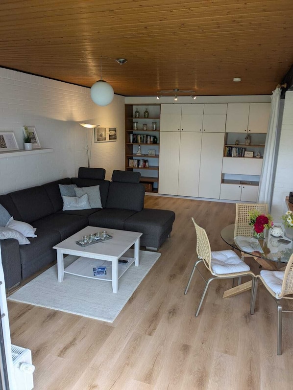 TV connectée, cheminée, livres