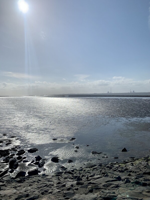 Une plage bordée d’une côte rocheuse et aux eaux calmes où se reflète la lumière du soleil.
