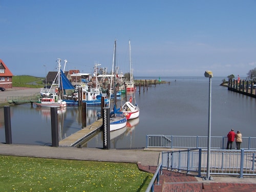  "Ferienhaus-zum-Friesentraum"