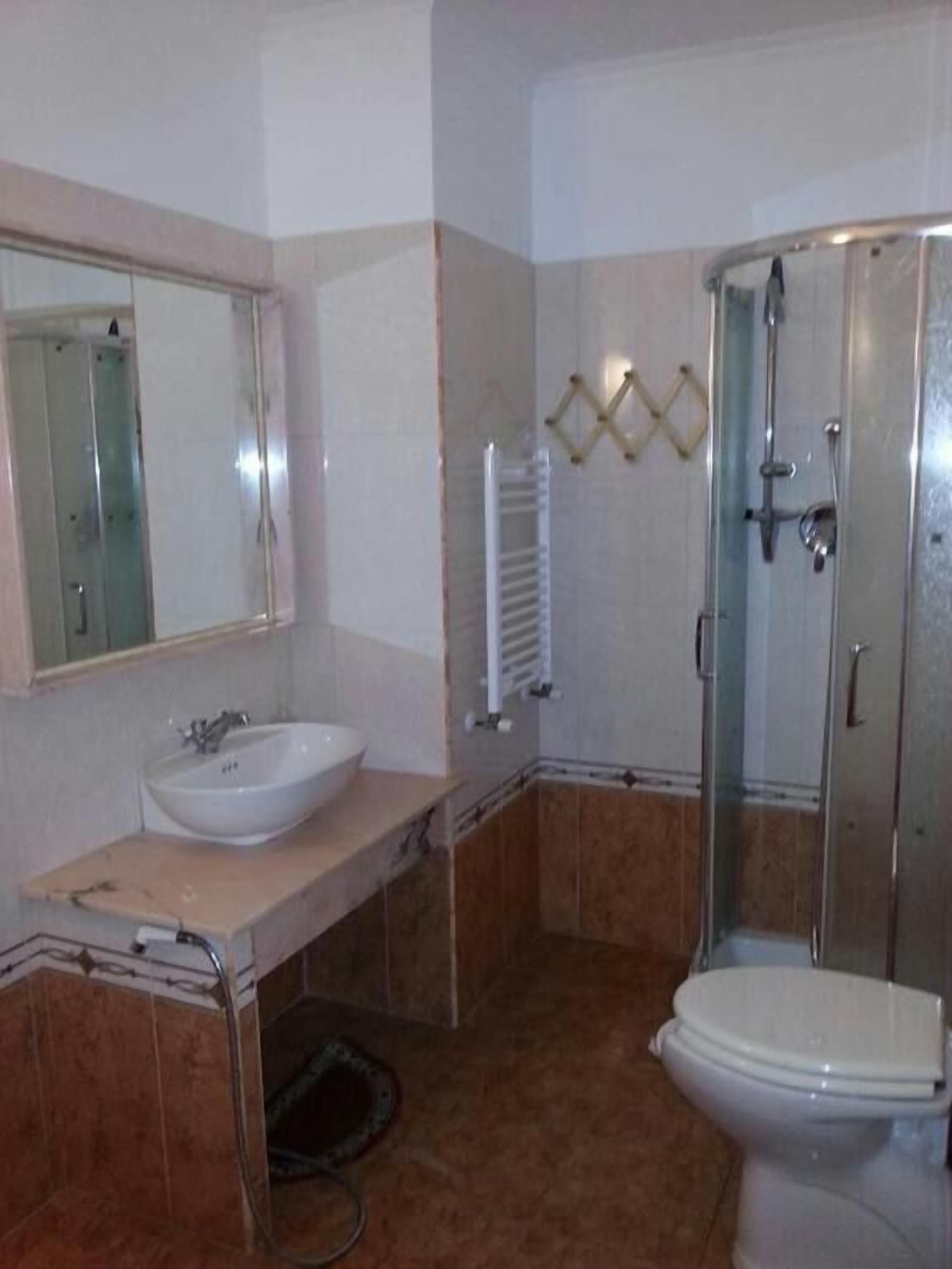 A bathroom with a sink, mirror, toilet, and shower.