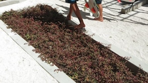 Unclassified image, 2 of 25, button - Avanti Vaadhoo (Vaadhoo)