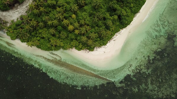 Aerial view - Avanti Vaadhoo (Vaadhoo)