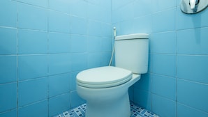 Een badkamer met een wit toilet, blauwe betegelde wanden en een chroom spoelknop.