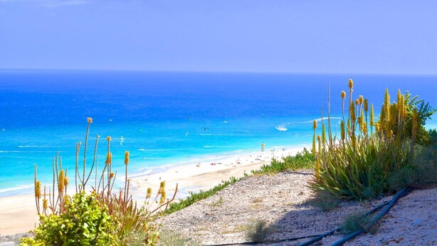 Uma praia com águas azul-claras, areal arenoso e vegetação rasteira.