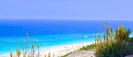 Plage à proximité, sable blanc, bar de plage