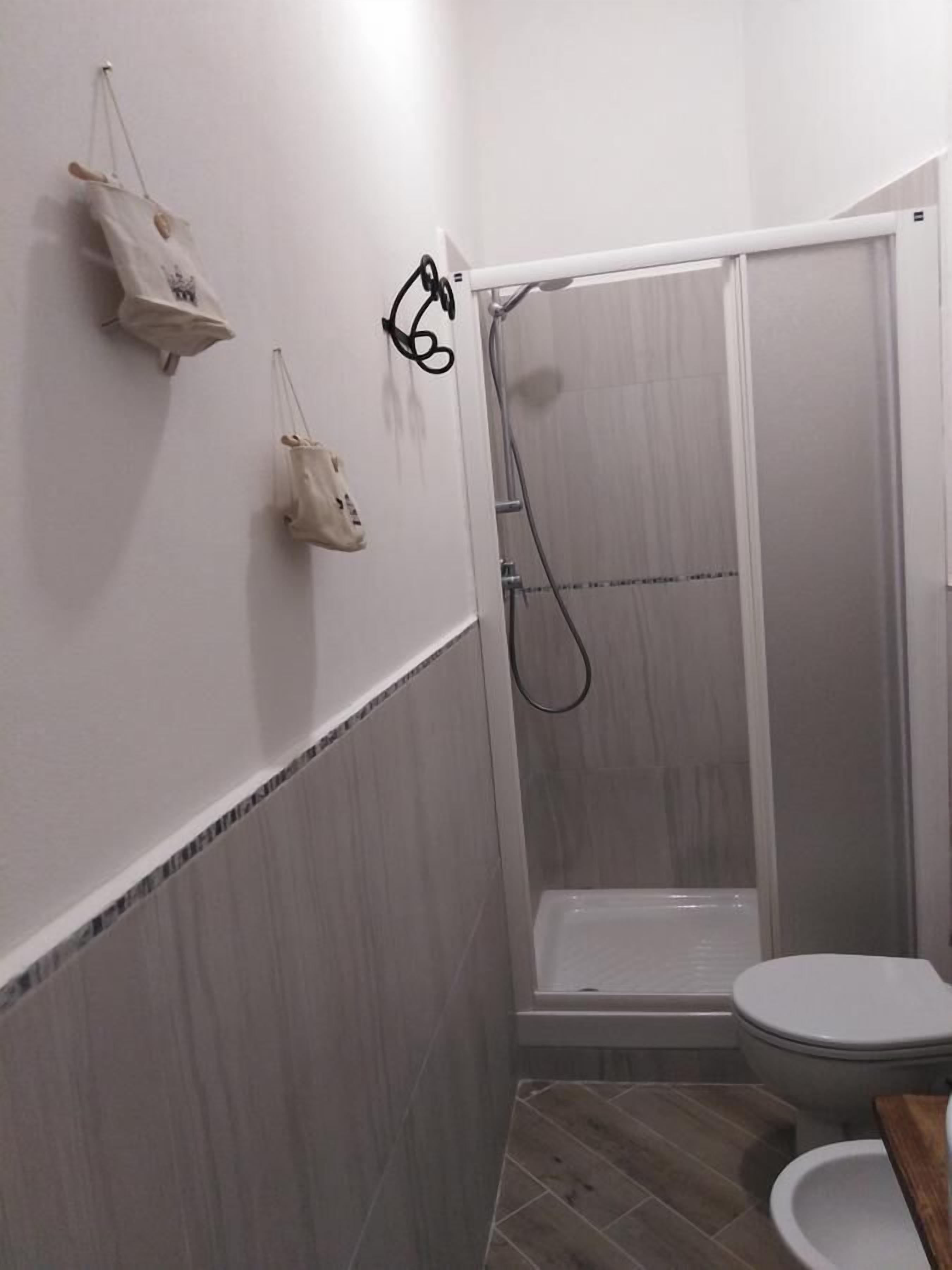 Et badeværelse med bruser, toilet og håndklædestang.