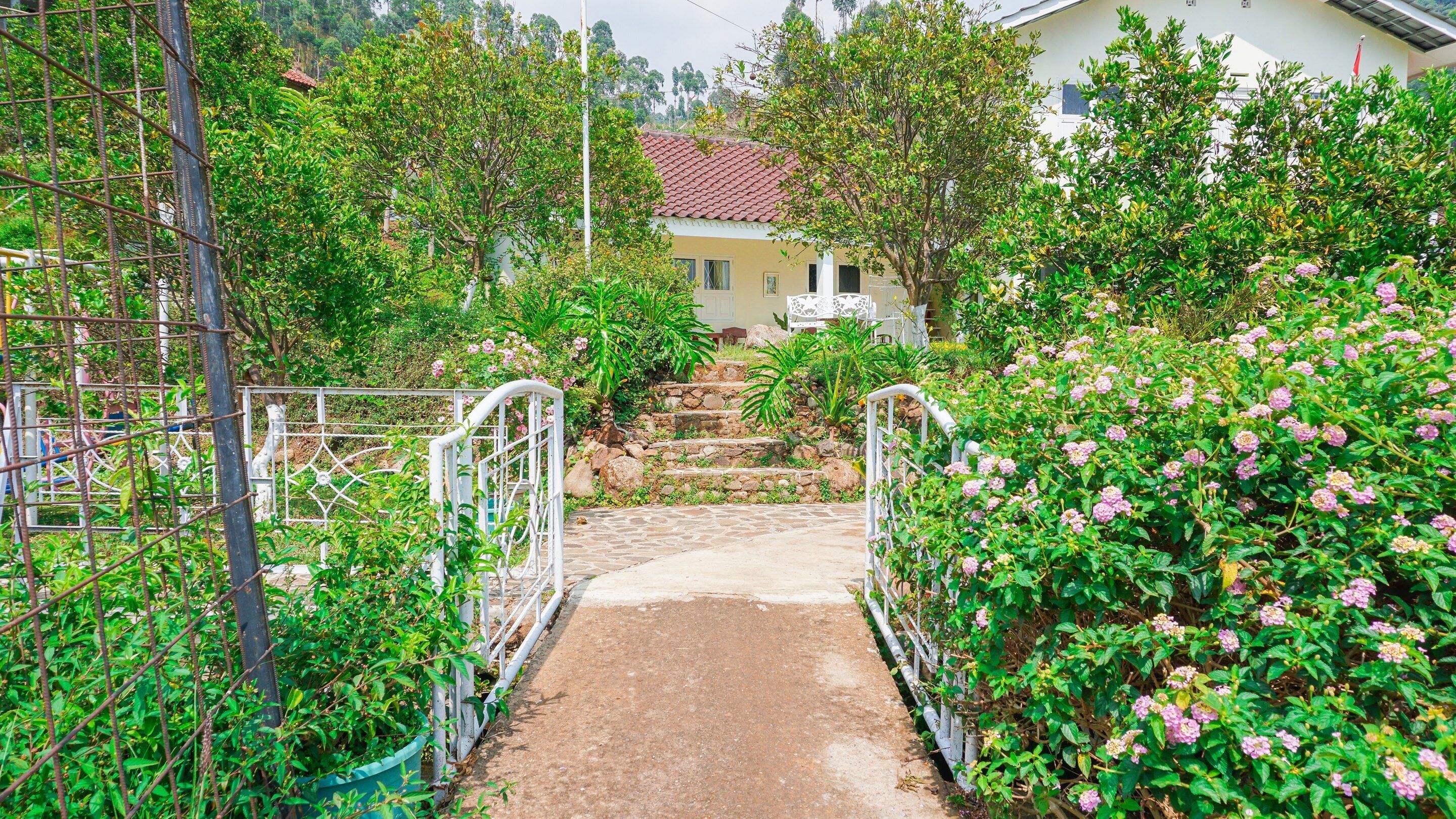 庭園