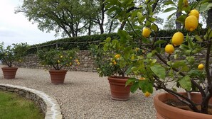 Jardín