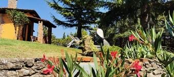- Casale il Girasole-