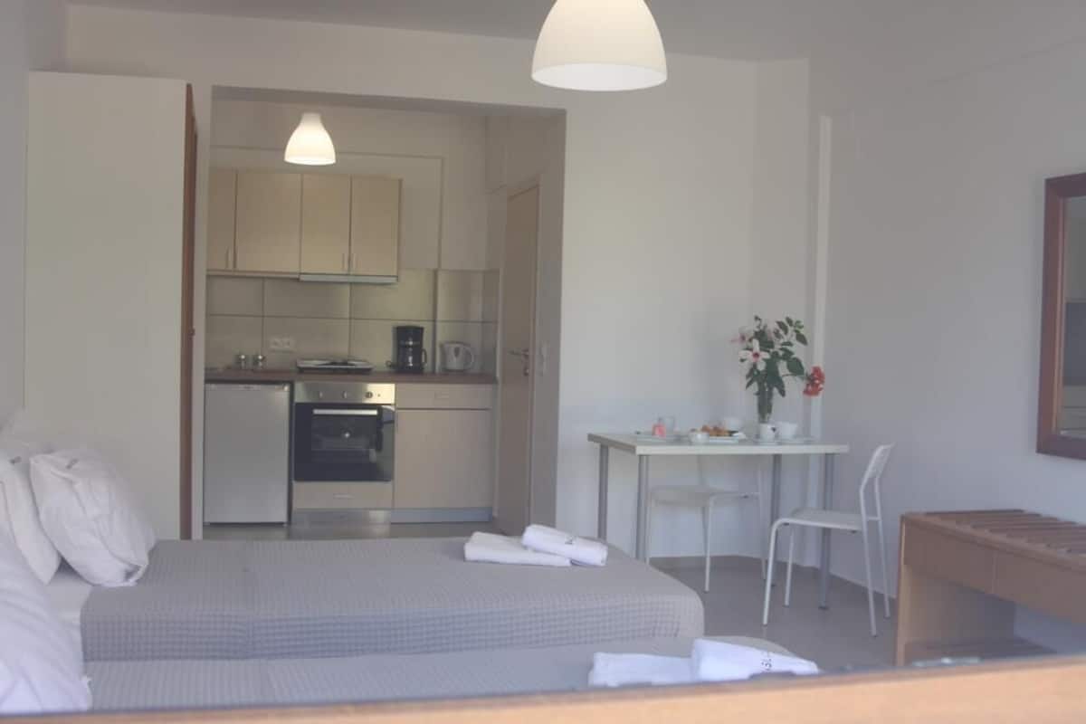 A hotel room with a bed, a small kitchenette, a dining table with chairs, and a potted plant.
