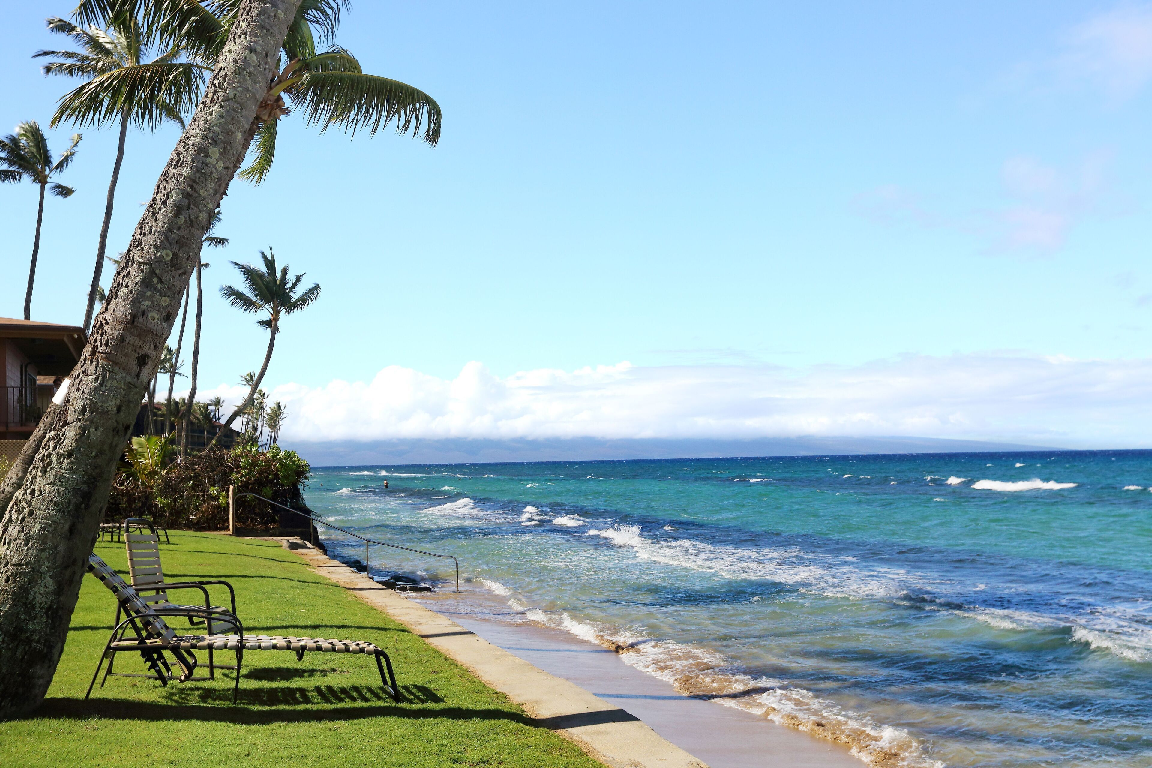 Paki Maui 313: Cozy Condo at Oceanfront Resort w/ Pool & Jacuzzi - Walk to Beach