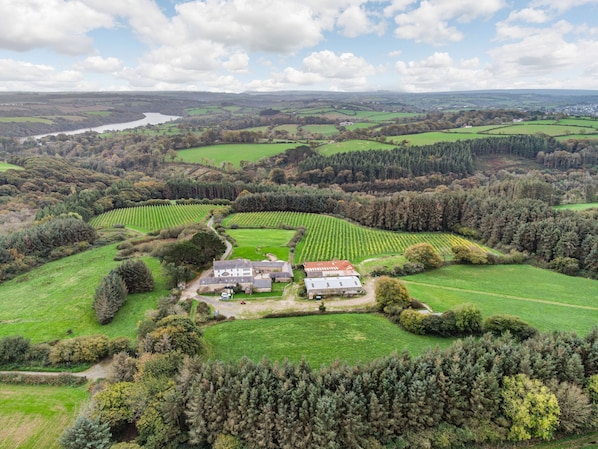 An aerial view of a rural estate with a large house surrounded by green fields and a winding river in the background. - Tregoninny Vineyard and Woodland Farmhouse (Truro)