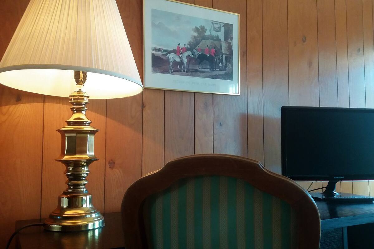 A lamp, a framed picture, a chair, and a television on a wooden wall.