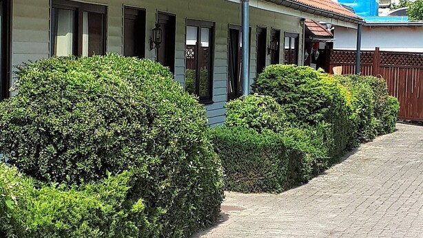 A paved pathway flanked by neatly trimmed hedges and a building with multiple doors and windows. - Motel Zur goldenen Krone (Teterow)