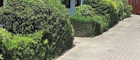 Detalle exterior