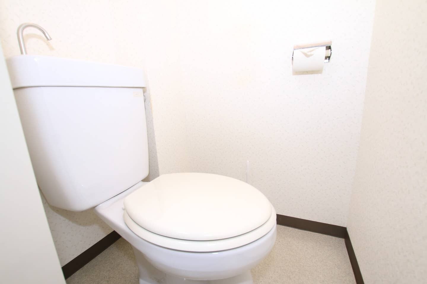 Et hvidt toilet med lukket låg, skyllegreb og toiletpapirholder på væggen.