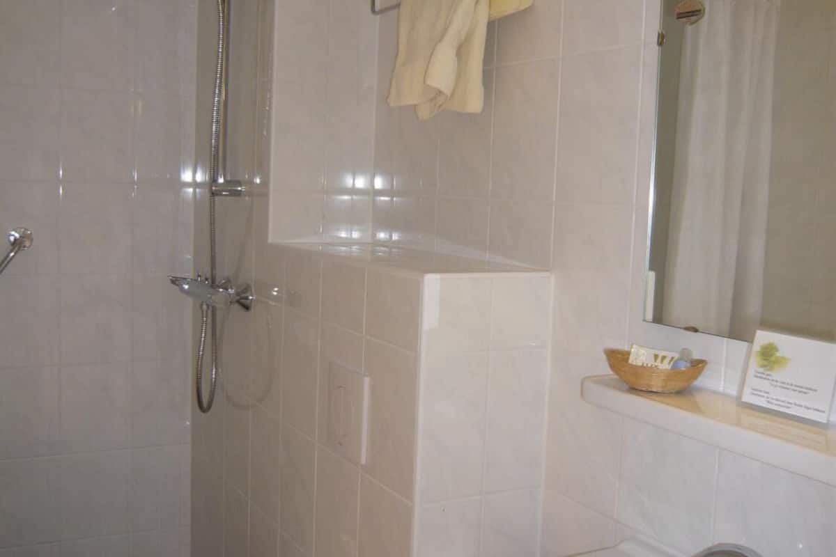 shower, free toiletries, towels, soap