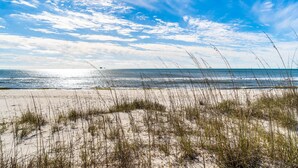 A beach with sand dunes and sparse vegetation.