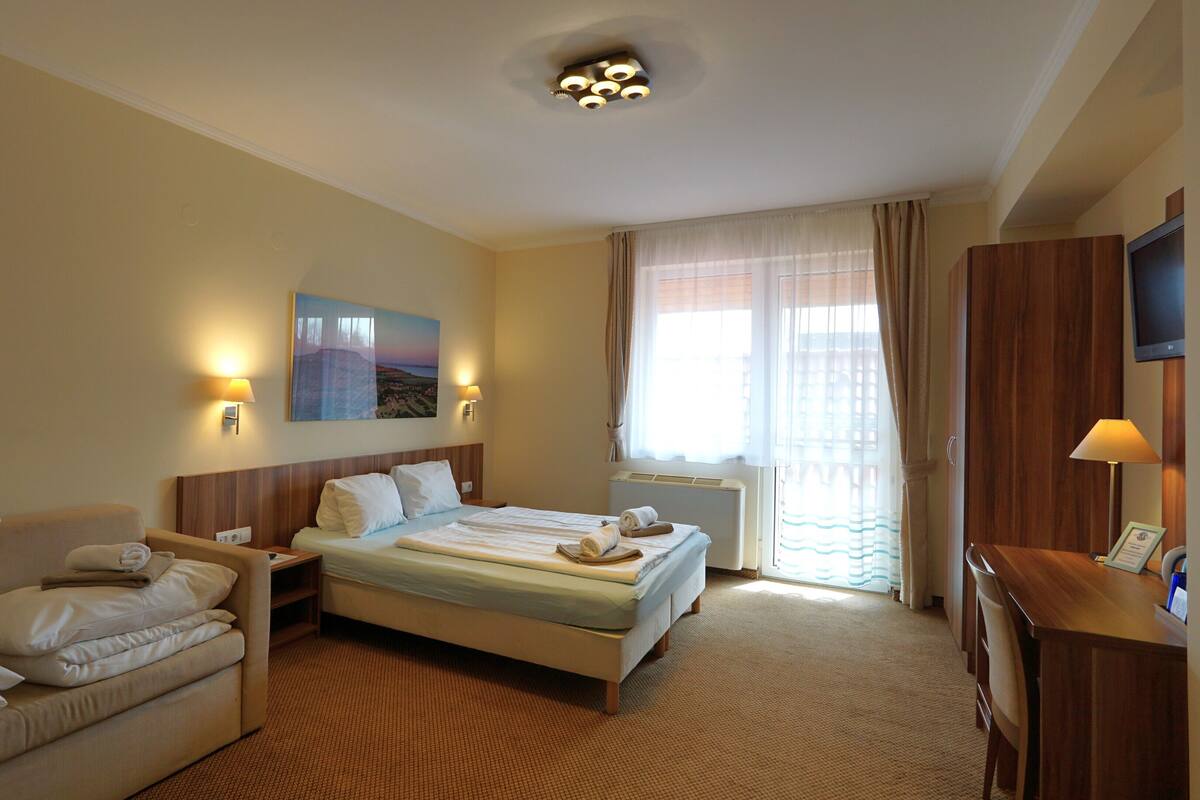 A hotel room with a bed, a sofa, a desk, and a television.