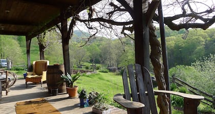 Entire house on a remote sheep farm , tended for 45 years