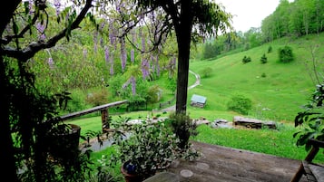 Overlooking a lush landscape, this serene setting features a wooden deck and a distant wooden structure amidst a variety of trees and shrubs.