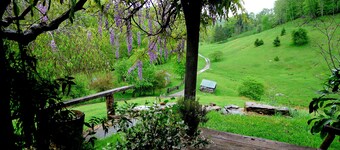 Entire house on a remote sheep farm , tended for 45 years