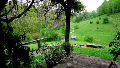 Entire house on a remote sheep farm , tended for 45 years