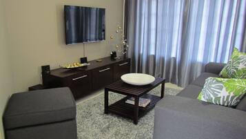 Flat-screen TV, Netflix, streaming services