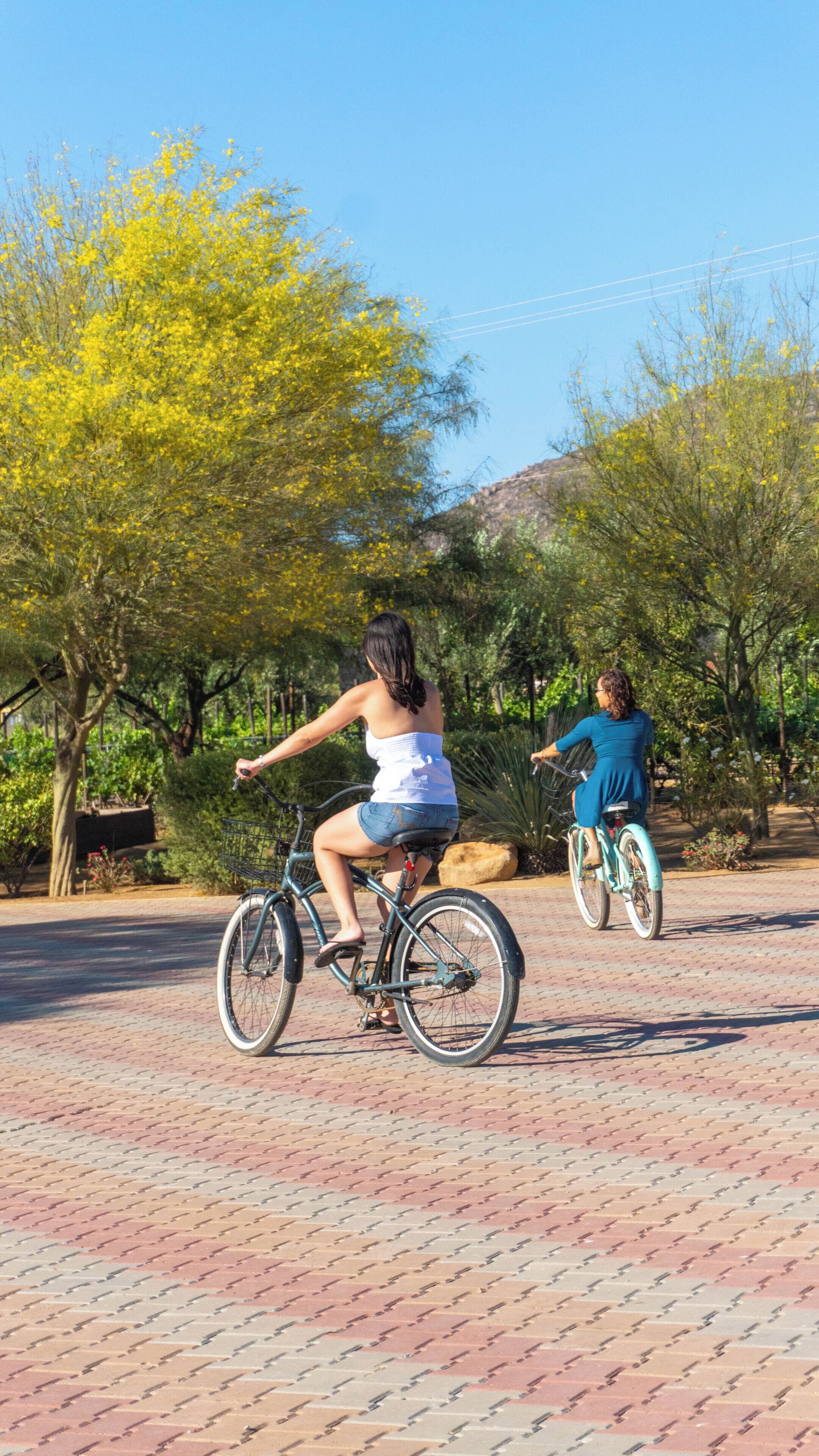 Dos personas pedaleando en bicicleta por un camino pavimentado, con árboles y un cielo despejado al fondo.
