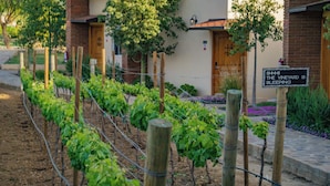 Viñedo con hileras de parras, vallas de madera y un letrero que indica que el viñedo está cerrado.