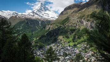 Un paysage montagneux avec un sommet enneigé en arrière-plan, une vallée avec une ville, et une forêt dense au premier plan.