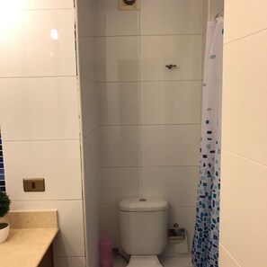 Combined shower/tub, hair dryer, towels, soap